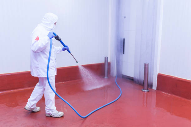 Best Winterizing Services  in San Castle, FL